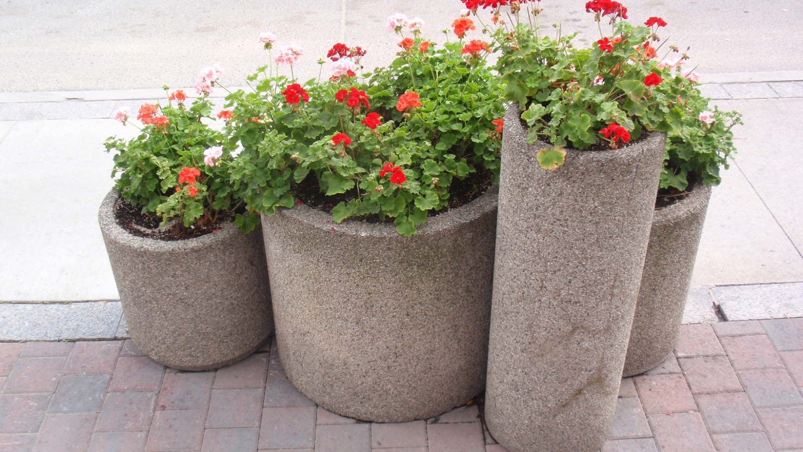 Tips For Making Cement Planters